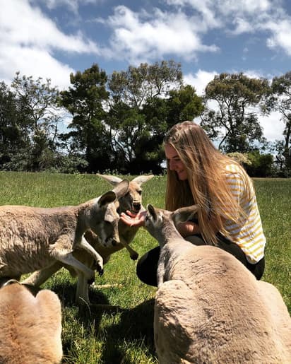 Student interacting with kangaroos during a school programme in Australia.