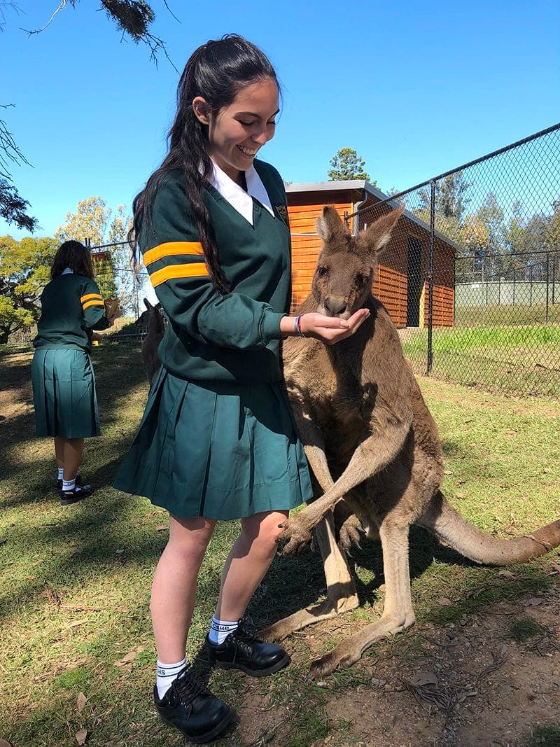 Student in uniform interacts with a kangaroo during school life abroad in Australia, combining education and cultural discovery.