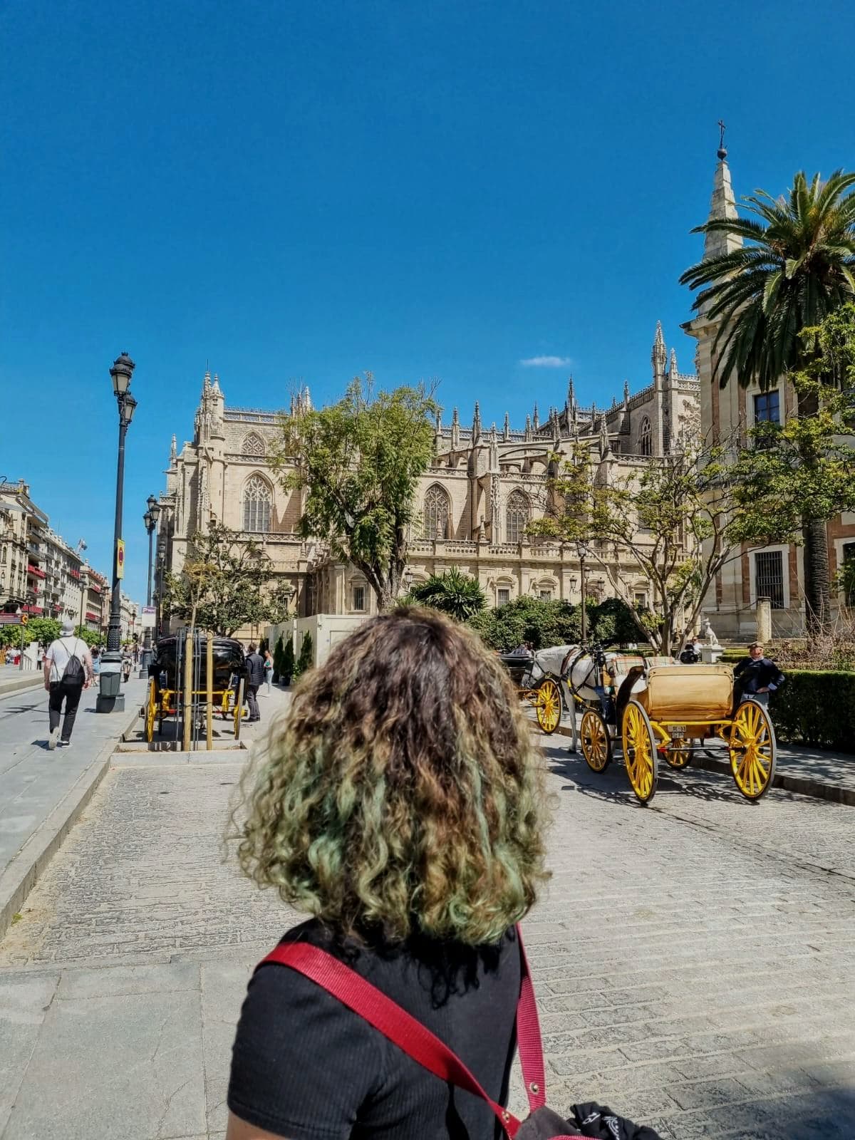 Image of a student admiring the Seville Cathedral, an unforgettable experience during a study programme in Spain.